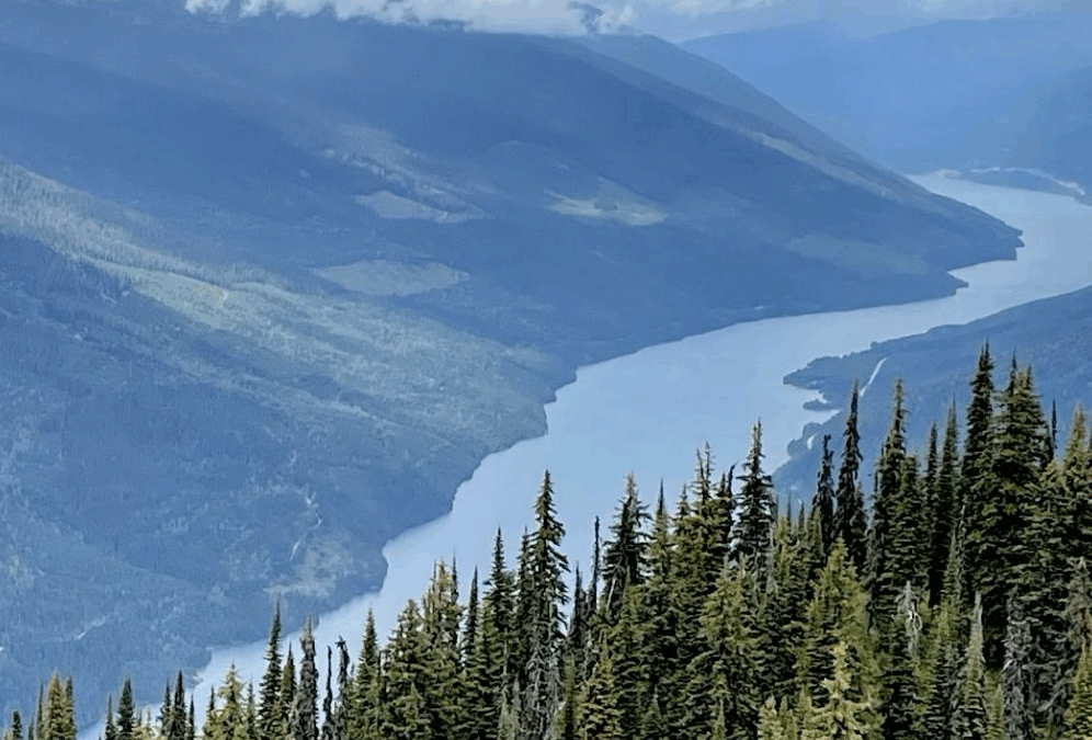 Connecting to the Wider World