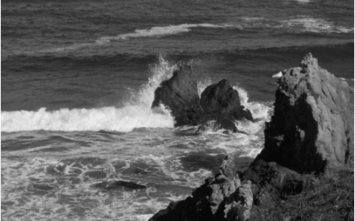 The Coast in Winter C 2026