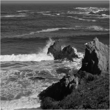 The Coast in Winter 2018