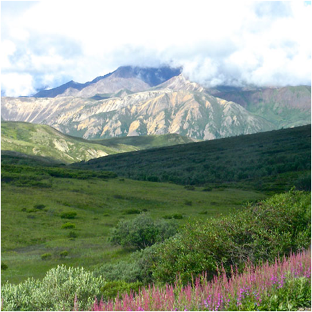 The Mountain Within 2015