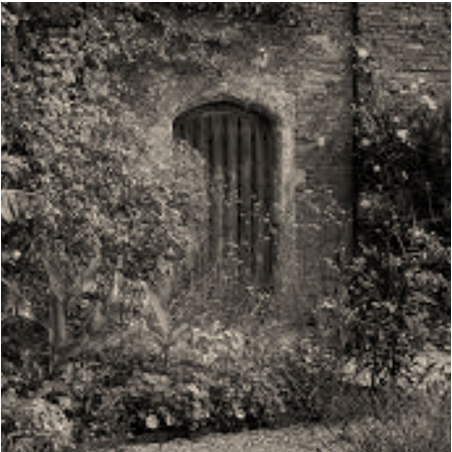 Le Jardin Perdu 2016 (rev)