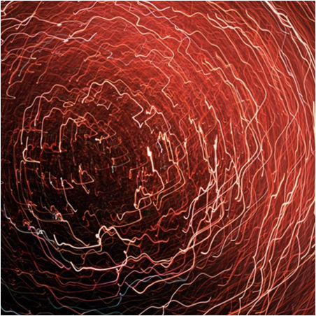 Small Organisms 2006