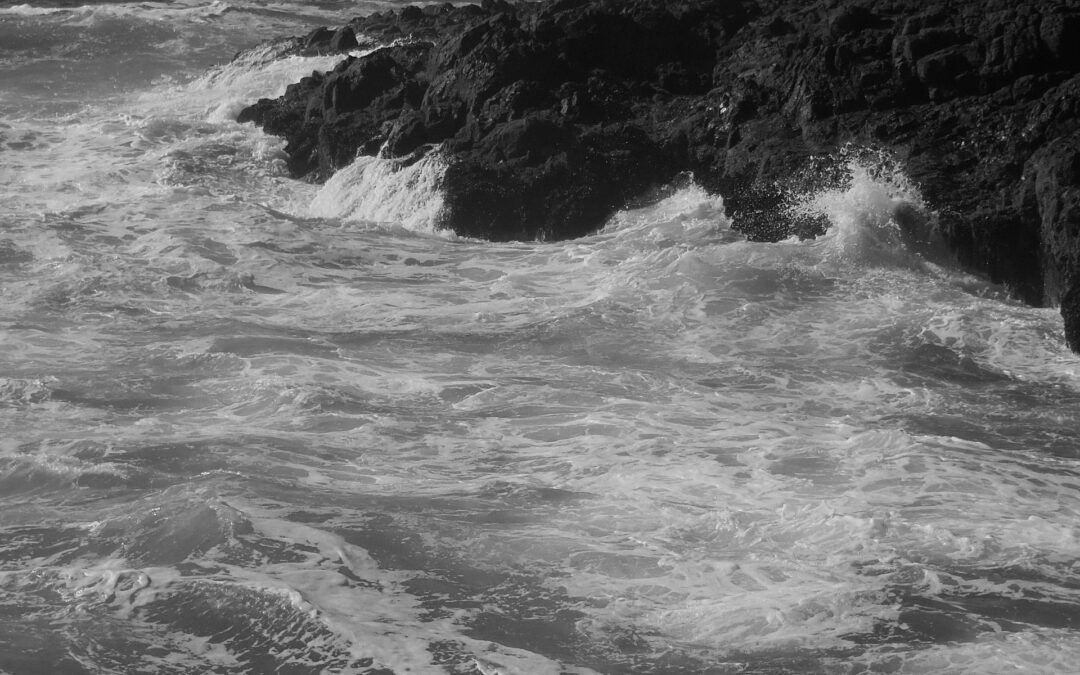 The Coast in Winter 2020 / 2018