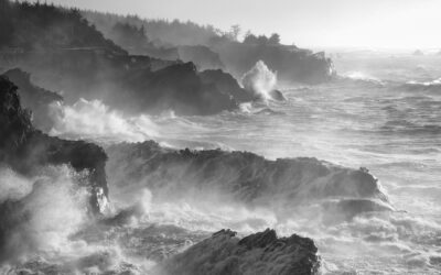 King Tides – Premiere